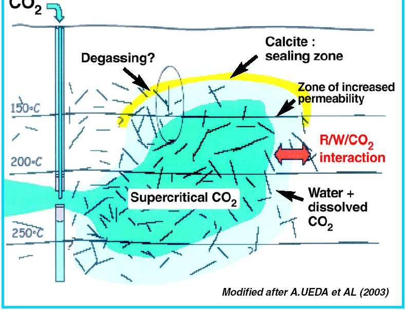 CO 2 circulation fluid is de facto Carbon Sequestration! CO 2 mass flow of approximately 20 kg/s is required per MW electric power capacity.