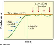Populations Population regulation important for -species extinction, protection -species introductions -species harvest yield Harvest growth curves imply maximum growth at