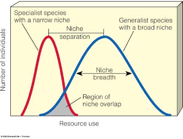 Populations Niches are measured and depicted graphically on niche axes axis