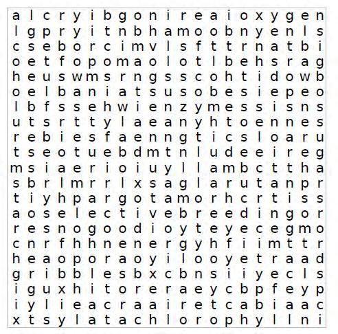 Introductory Wordsearch bioenergy biomass crops biofuel yield starch fossil fuel waste sugars bioethanol microbes chromatography alcohol yeast distillation carbohydrate fermentation atmosphere energy