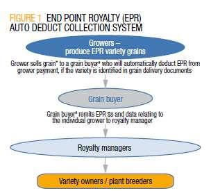 Funding the future ~ End-point Royalties: Collects a royalty on grain sold Typically c.