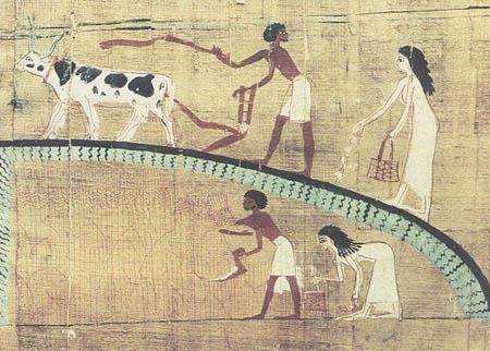 By end of last ice age (about 11,000 years ago) humans began the practice of farming = AGRICULTURE Soon people around