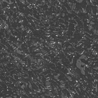 962 S. Yoshimoto, M. Yamasaki and Y. Kawamura (c) (d) (e) (f) Fig. 5 SEM images of the homogenized and the extruded Mg 98 x Zn x Y 2 alloys.