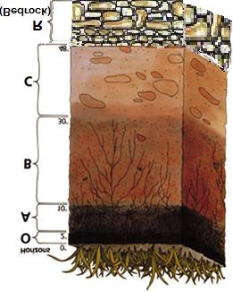 Soil Erosion: movement of soil components (esp.