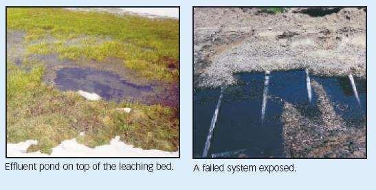 Signs of Failure / Malfunction Excess plant growth over drainfield; wetland vegetation Standing water esp.