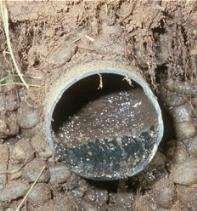 Drainfield Cross-Section Topsoil Geotextile Gravel Treatment Zone 48 Clogging pipe Need deep soil