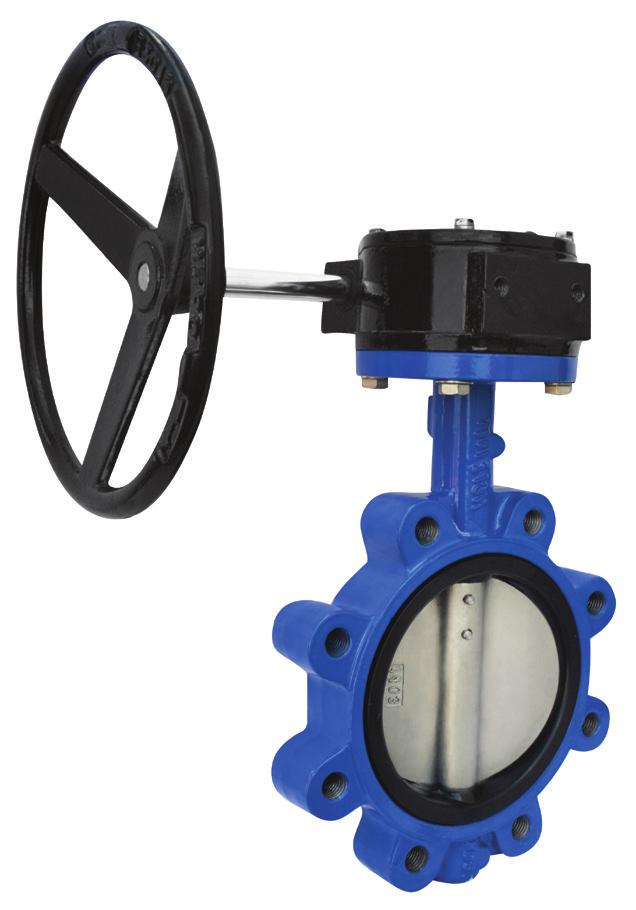 LUG BUTTERFLY VALVES Iron Body Lug Style - Flanged Ends NCI Canada s 200 PSI cast iron body lug butterfly valves are manufactured with a 316 stainless steel disc and a 416 stainless steel stem.