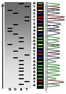 Recombinant DNA Technology Recombinant DNA - DNA that has been artificially manipulated to combine genes from two different sources.