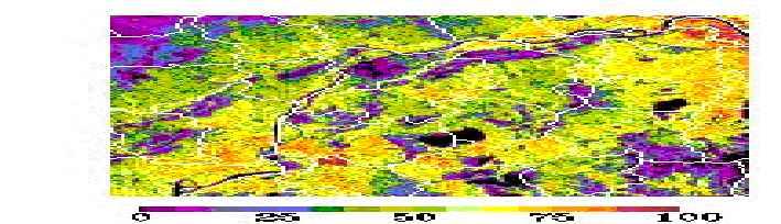data has an absolute location error of <0.8 km, therefore, we expect that the selected VGT image pixels contain the eld sampling sites.