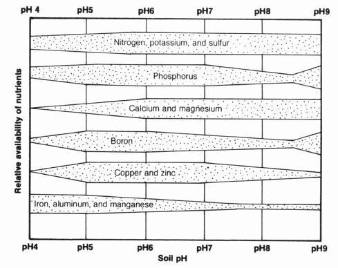 Changes in soil ph can affect the following aspects of plants growth: Plants can only use dissolved