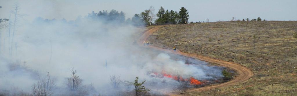 Restoration of fire-dependent pine barren ecosystems in northern Wisconsin Bridging the gap between research