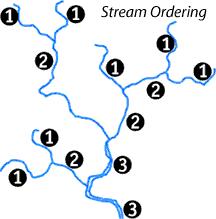 Lotic Systems Rivers and Streams Stream