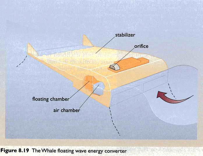 Might Whale Design Boyle, Renewable