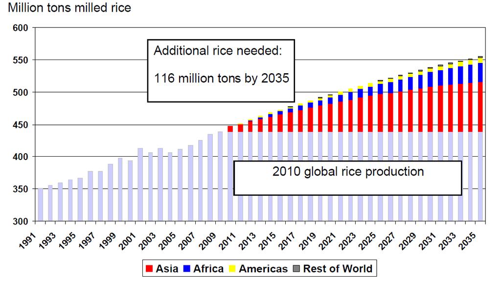 Market Global demand for milled rice is estimated to increase from