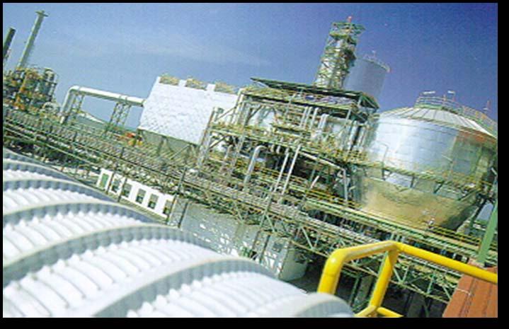 Pollution Control Process Flue Gas Treatment Facility Equipped with sophisticated Gas Cleaning System which can manage all types of