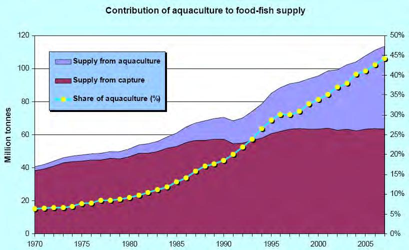 Introduction Contribution of food fish supply from capture