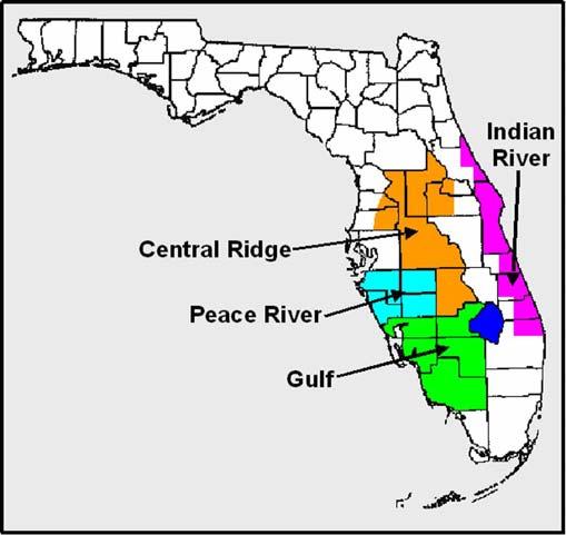 Advancements with Controlled-Release Fertilizers for Florida Citrus Production: 1996-2006 2 Evidence supporting this concern is reflected in water quality measurements on the ridge.