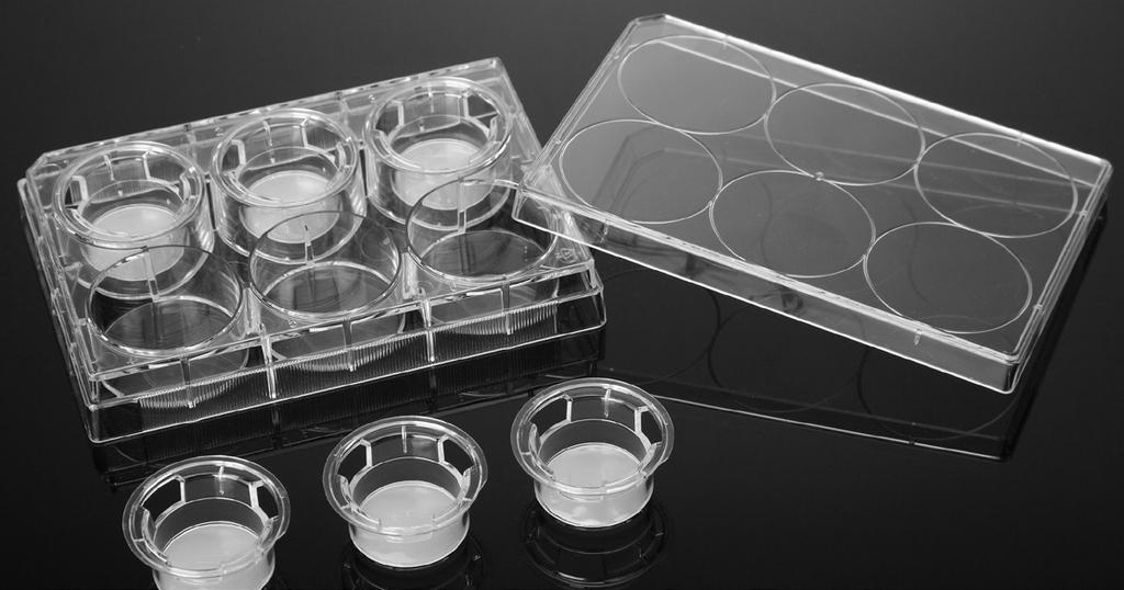 VWR TISSUE CULTURE PRODUCTS, PLASMA TREATED VWR Tissue Culture Plate Inserts Clear, sterile, general polystyrene (GPPS) with polycarbonate (PC) or polyester (PET) membrane are treated for optimal