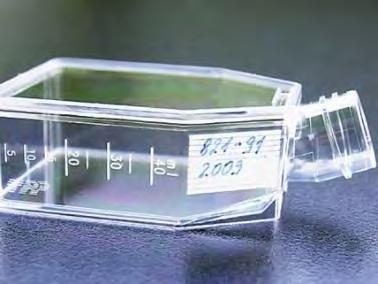 Tissue Culture Flasks Uniform flat surface promotes cell growth without clumping. Crystal clear transparency for imaging.