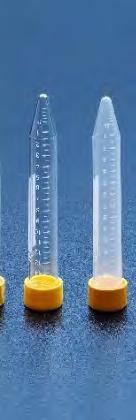 Sterile, DNase/RNase free, non-pyrogenic, and heavy metal-free.