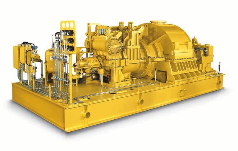 Dresser-Rand s industrial multi-stage steam turbine line helps you meet a variety of energy requirements in industrial environments.