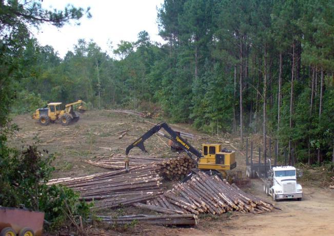 Managing Logging Costs Shawn Baker Dale Greene University of