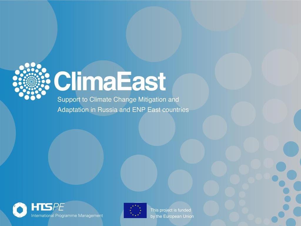 Implementation of the EU climate policy in the EU Member States: the case of