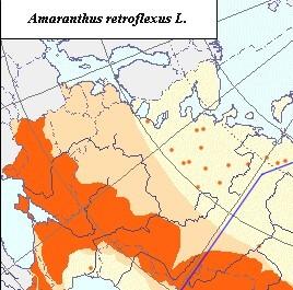 Sokolova et al, 2004 Green amaranth (harmfulness area red