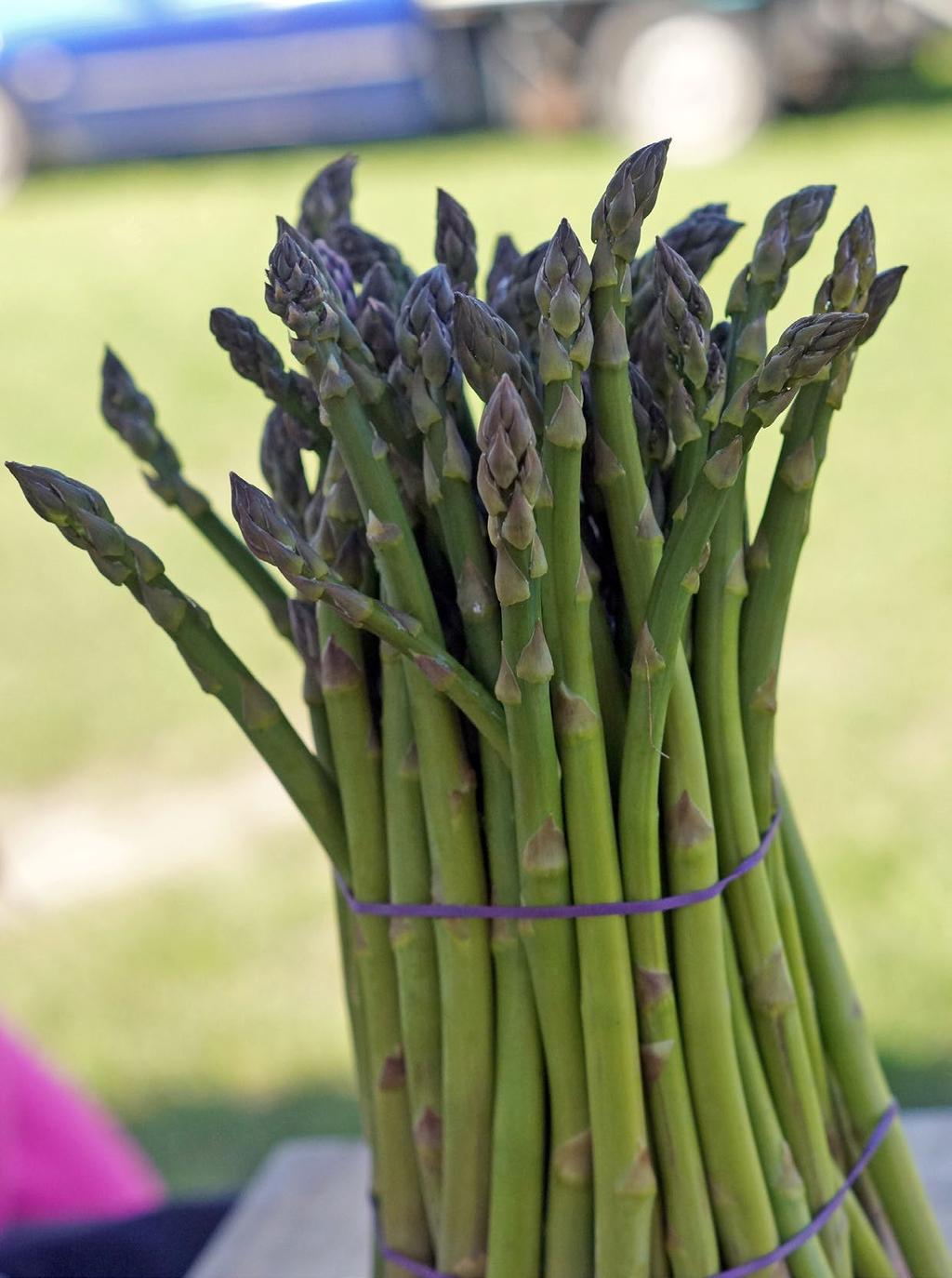 Casey, Cardinia, and the Mornington Peninsula What grows there? Almost all of Australia s asparagus production (90%) occurs in Casey- Cardinia thanks to rich, peaty soils.