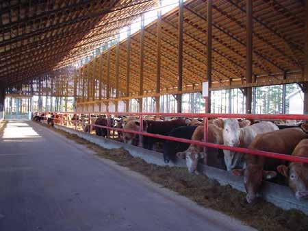 NCFA works to ensure that policy-makers understand the business realities of cattle feeding and that the regulatory regime works for cattle feeders.