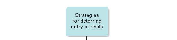 Strategy in a Mature Industry In a mature industry it is crucial to adopt a strategy that will