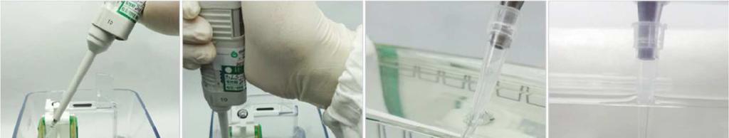 2. Running the sample Protein sample loading. Make sure the loading tip is inserted vertically into the loading well for optimal results. Figure 5.