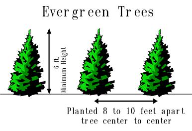 Evergreen trees shall be at least six (6) feet in height and shall be planted eight (8) feet to ten (10) feet apart from the next tree in the