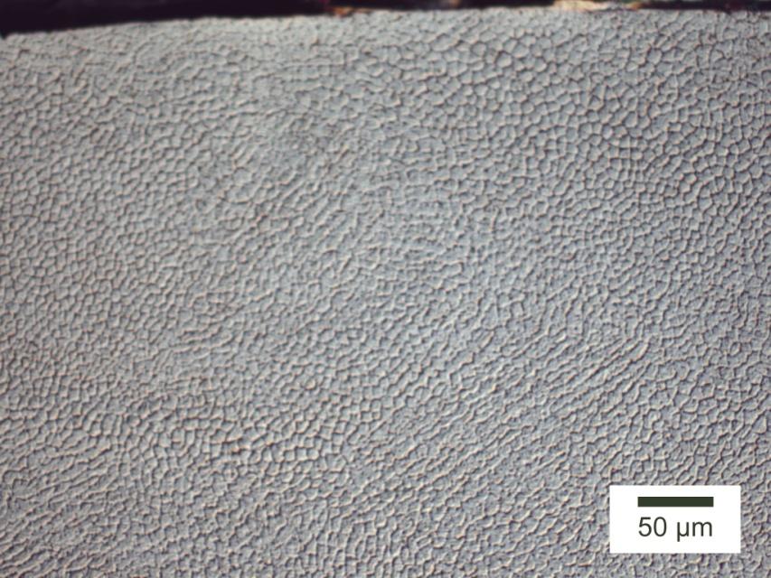 3. Results and discussions Homogeneous and defect free 316L stainless steel coating microstructure has been abstained. Fig.