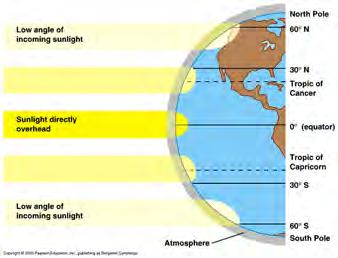 conditions in a particular area Four major abiotic components: Temperature, water, sunlight, and wind