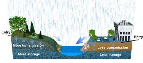 How land use and cover affect runoff Low