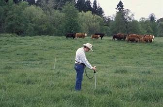 EM 8852-E January 2004 $1.00 Early Spring Forage Production for Western Oregon Pastures G. Pirelli, J. Hart, S. Filley, A. Peters, M. Porath, T. Downing, M. Bohle, and J.
