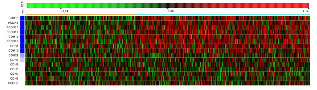 Expression Heatmap rank genes by significant differential