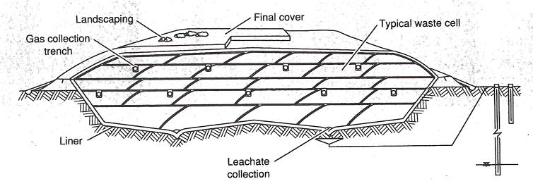 Subtitle D Environmental Protection Systems Bottom Liner System Leachate Collection and Removal