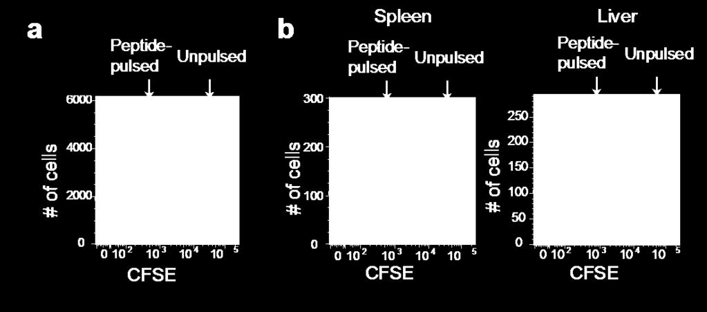 Figure 1. CFSE expression in antigen-pulsed target cells and unpulsed target cells. a. Peptide-pulsed CFSE low and unpulsed CFSE hi splenocytes were mixed at a 1:1 ratio before transferring to the recipients.