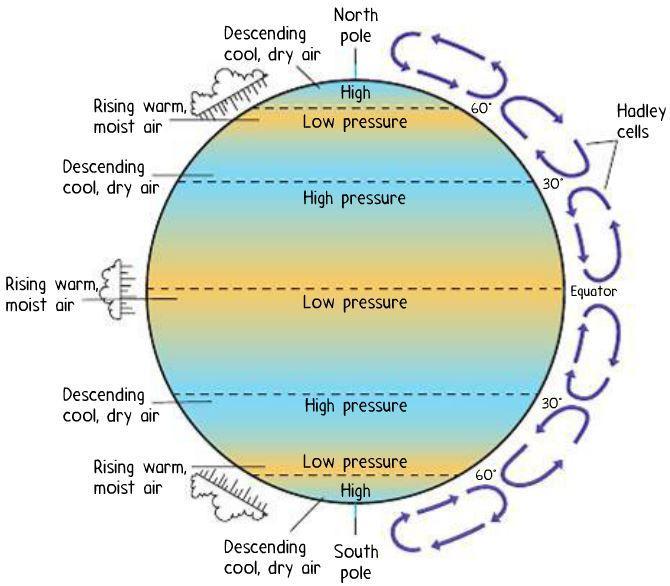 Section 3 Global Winds and Local Winds Objectives Explain the relationship between air pressure and wind direction. Describe global wind patterns. Explain the causes of local wind patterns.