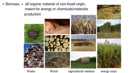 Biomass a