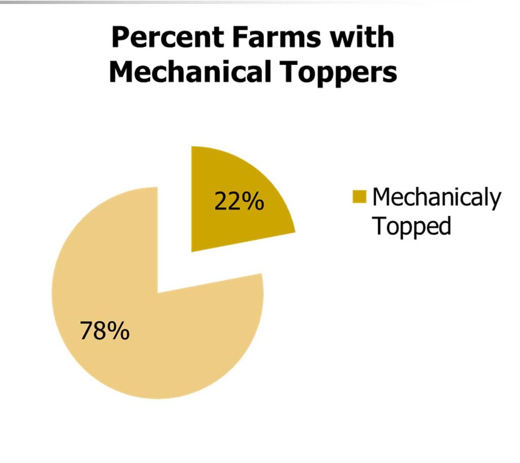 Mechanical Toppers Of the farms that have mechanical toppers an average of 68% of the crop is topped mechanically.
