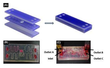 Emerging technologies: 3D Printed Microfluidics Chip 3D printing