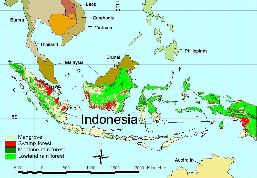 The Indonesian situation 2005 Export values in US$ Paper and Paperboard + 2.09 billion Wood-Based Panels + 1.47 billion Plywood Fibreboard + Sawnwood + 0.64 billion Industrial Roundwood + 0.