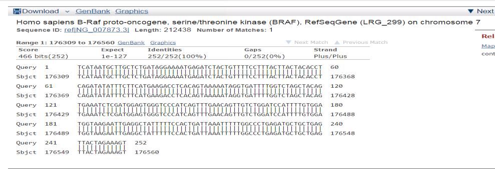 Sequential peaks of nucleic acids of Braf gene of patient 1 (A) and homology analysis of the Braf gene of patient 1 (Query 1) to the sequence NG_007873.
