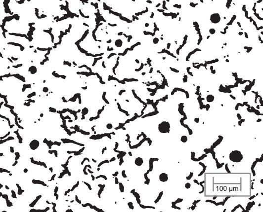 Microstructure of Compacted Graphite Iron Figure -13.