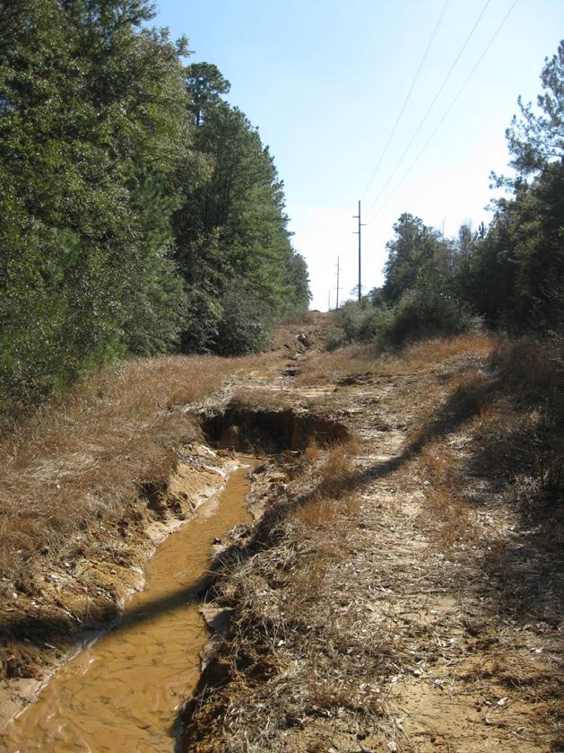 Impacts on the Watershed Wetlands, Lake Forest Lake and Streams Sediment discharge in the D Olive Watershed is a problem because of deeply eroded stream valleys, steep slopes, numerous tributary