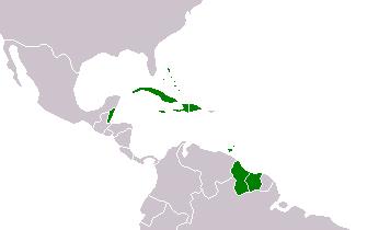 ACP-EU NDRR Program in the Caribbean Window 1 Regional /Sub-regional activities Window1 Regional: StrengtheningPublic Investment(UNDP) 1 CaribbeanRiskInformation 2 MOSSAIC 3 Window2: Belize,
