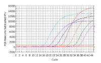 V. Real-time PCR Quantitation of the amount of cdna in the original sample must be done where the amplification is exponential and, this is at the very beginning of the upturn of the curve.